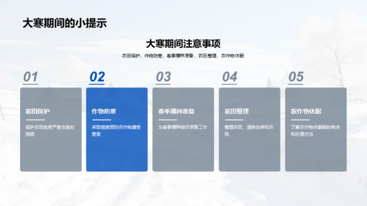 大寒期农业策略
