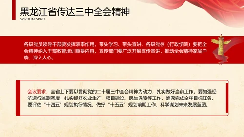 黑龙江省传达三中全会精神专题党课PPT