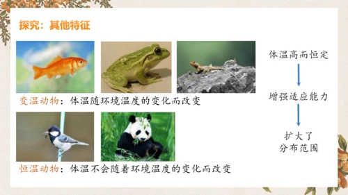 人教版生物八年级上册5.1.6《鸟》课件(共27张PPT)