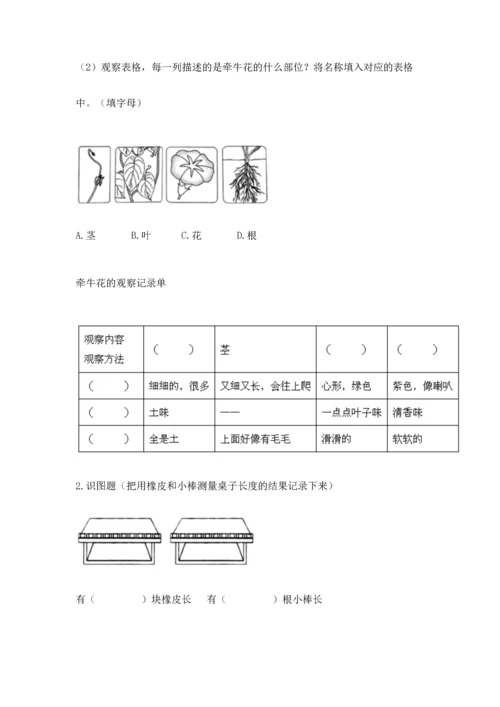 教科版一年级上册科学期末测试卷【完整版】.docx