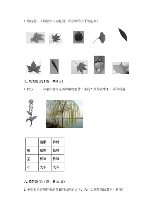 教科版科学一年级上册期末测试卷典型题word版