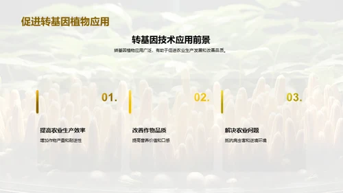 转基因植物