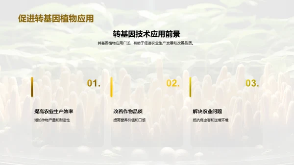 转基因植物