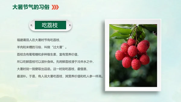 国风荷花二十四节气大暑教学PPT课件