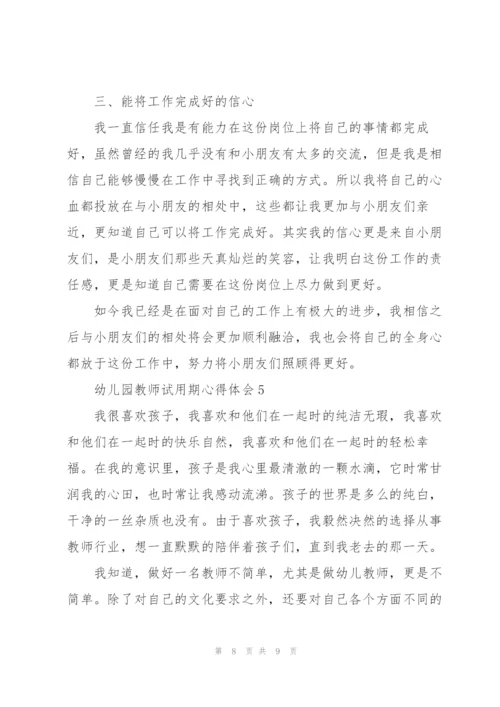 幼儿园教师试用期心得体会.docx