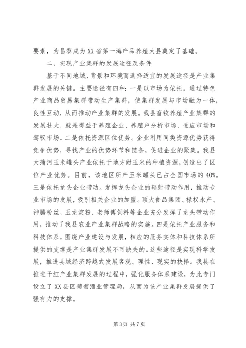 产业集群发展思考汇报.docx