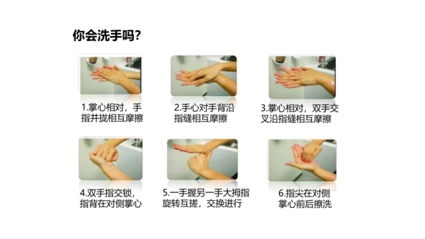 人教版生物八年级上册5.4.1《细菌和真菌的分布》课件(共22张PPT)