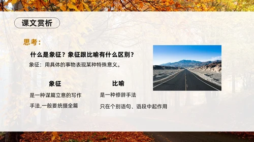 橙色简约实拍未选择的路PPT七年级语文下册PPT模板