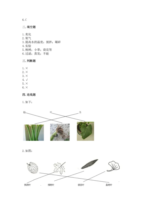 教科版科学一年级上册第一单元《植物》测试卷附参考答案【突破训练】.docx