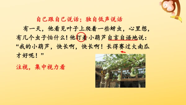 14 我要的是葫芦   课件