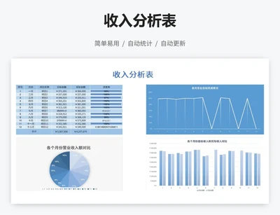 收入分析表