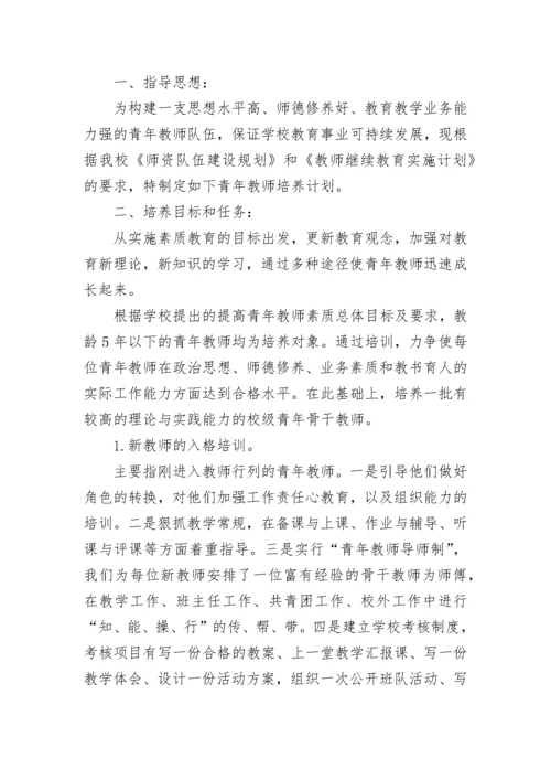 指导青年教师培养计划.docx