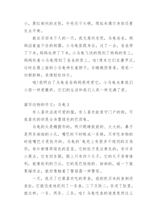 描写动物的作文：乌龟.docx