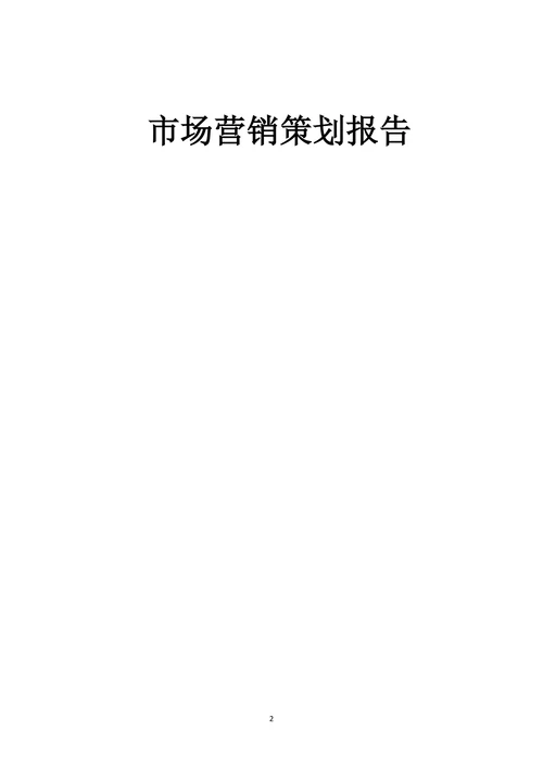 市场营销策划报告