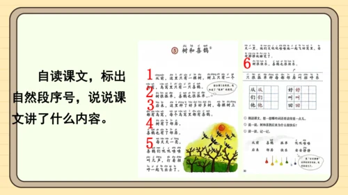 5 树和喜鹊（课件）