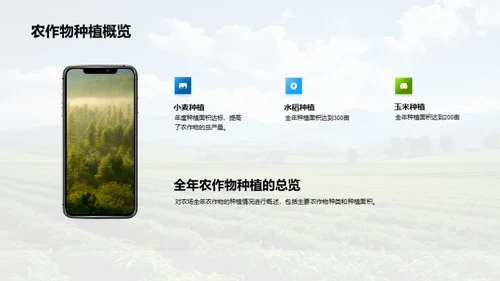 种植之道，成果之光