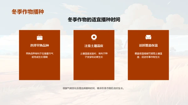 寒露农事指南