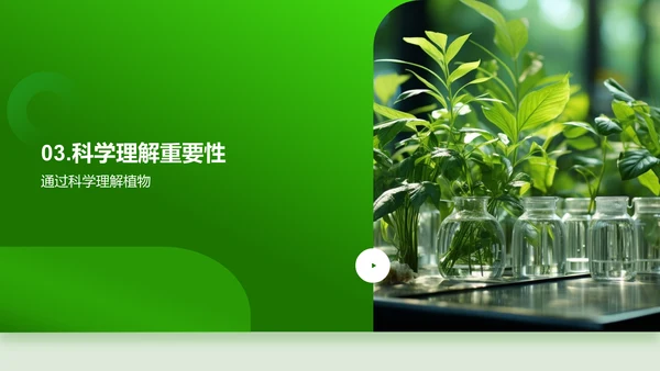 探秘植物生长