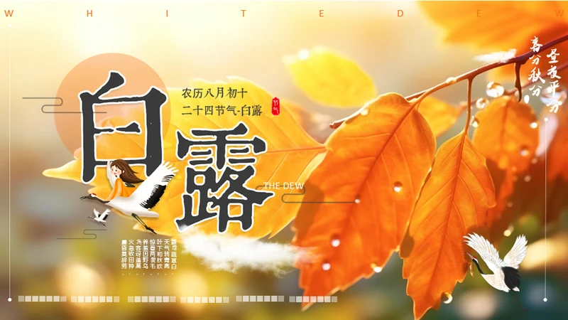 秋色白露节气，秋意浓通用PPT模板