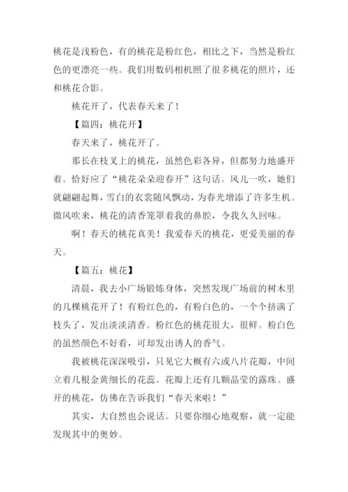 桃花开了作文100字.docx