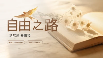 黄色简约风人物事迹介绍PPT