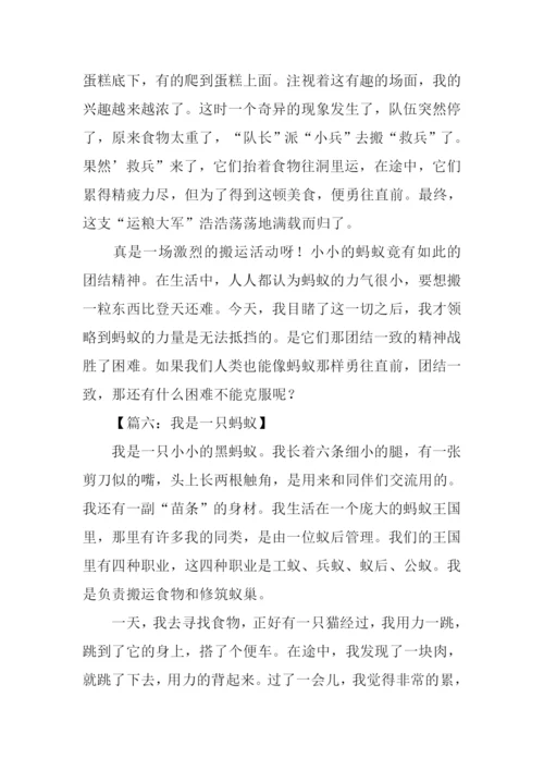 关于蚂蚁的作文600字.docx