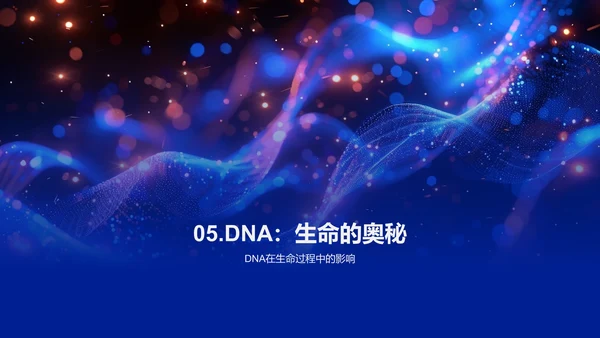 DNA结构与功能