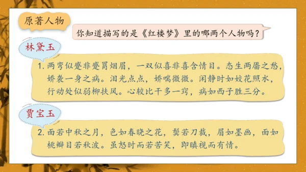 【核心素养】部编版语文五年级下册-8.红楼春趣（课件）