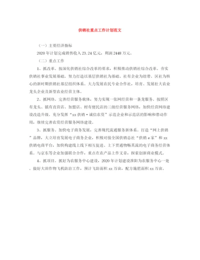 精编之供销社重点工作计划范文.docx