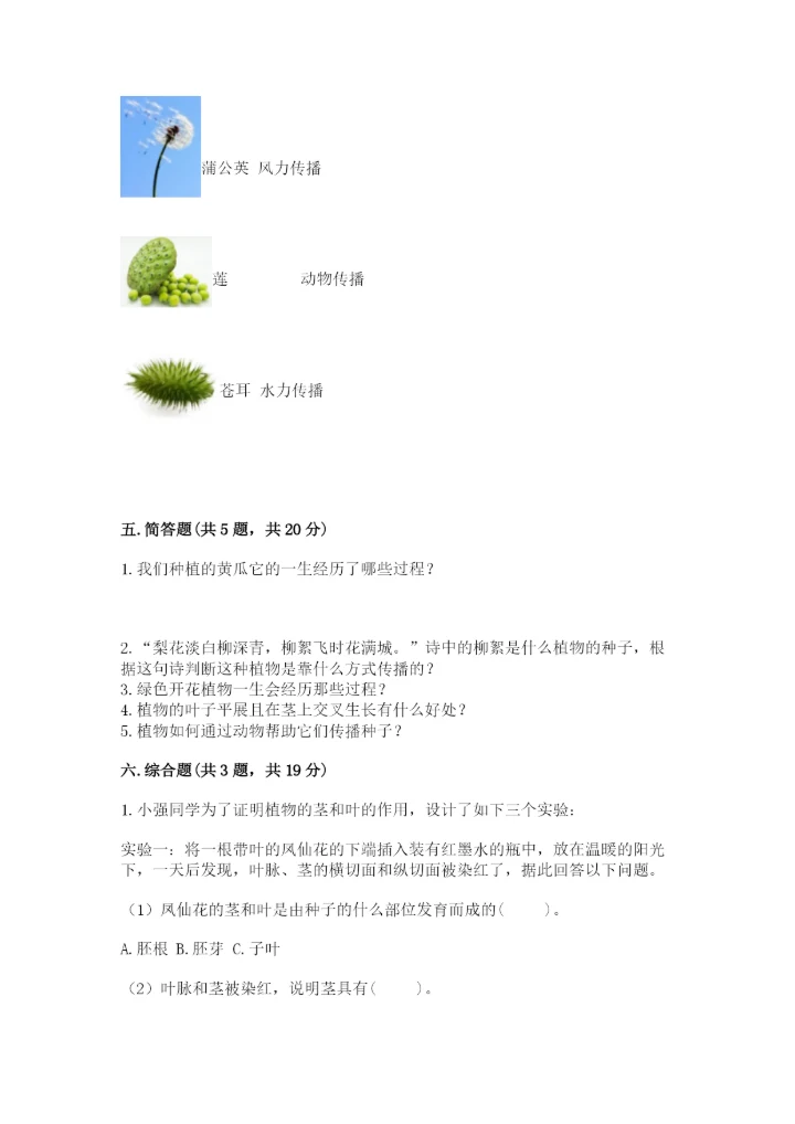 教科版四年级下册科学第一单元《植物的生长变化》测试卷【达标题】.docx