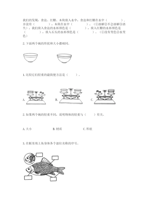 教科版一年级下册科学期末测试卷及参考答案（典型题）.docx