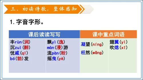 6《我看》【2024秋统编九上语文精彩课堂教案（精品课件）】