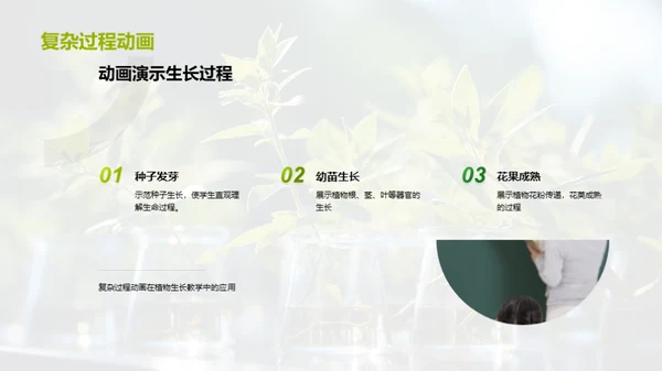 植物生长与教学创新