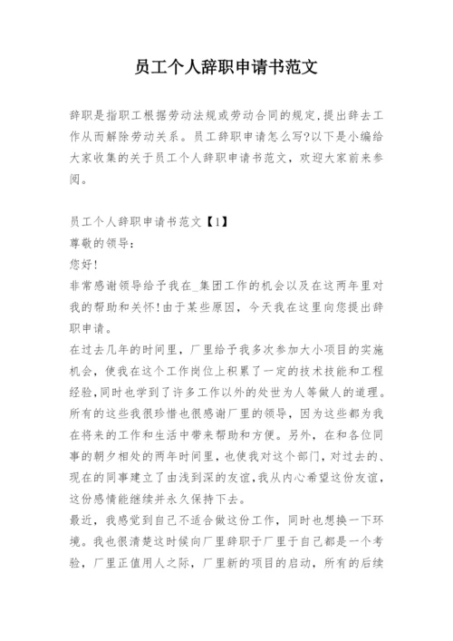 员工个人辞职申请书范文.docx