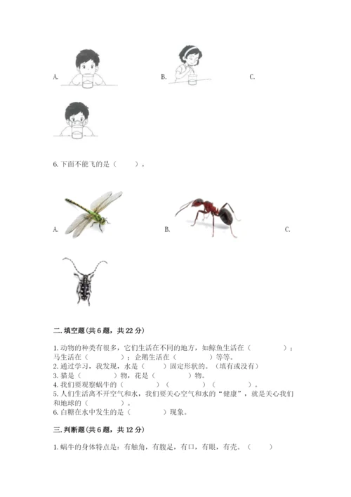 教科版一年级下册科学期末测试卷附答案【轻巧夺冠】.docx
