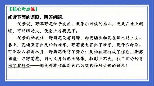 第一单元复习课件 2023-2024学年统编版语文八年级下册(共65张PPT)