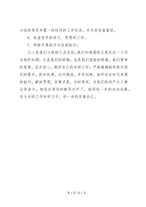 党小组工作总结 (7).docx