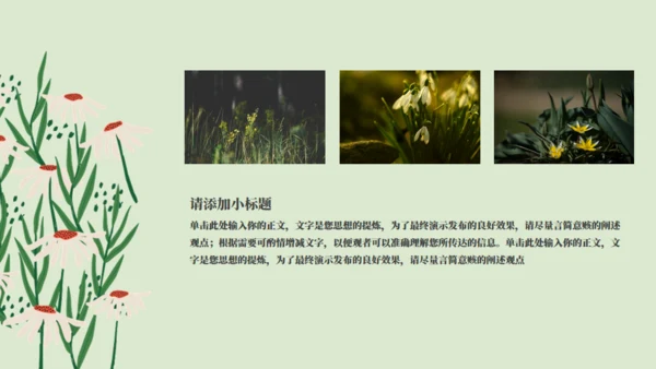 绿色小花工作计划通用PPT模板