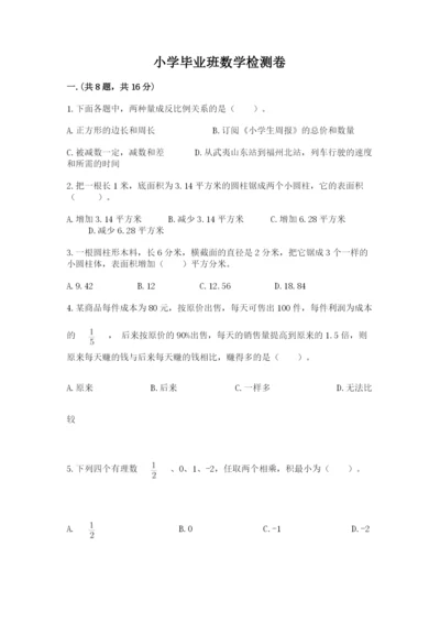 小学毕业班数学检测卷及完整答案【典优】.docx
