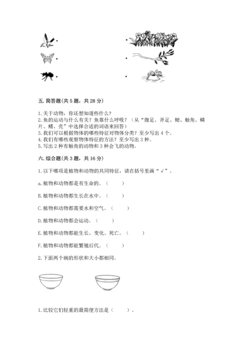 教科版一年级下册科学期末测试卷（典型题）.docx