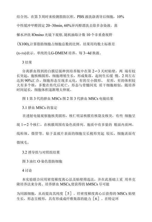脐血间充质干细胞向脂肪细胞分化的培养研究