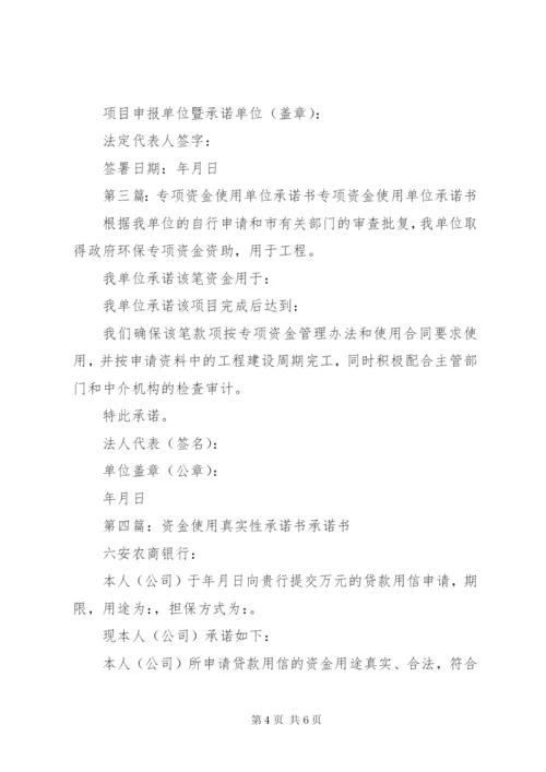 专项资金使用承诺书 (2).docx