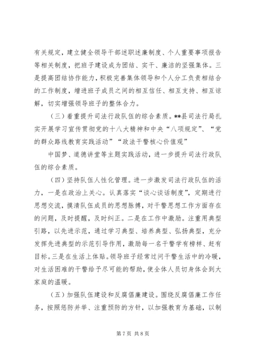 司法局政法队伍建设调研报告.docx