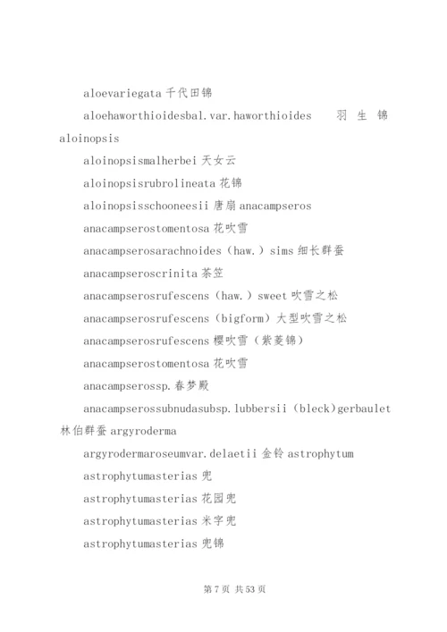 多肉公司建立方案.docx