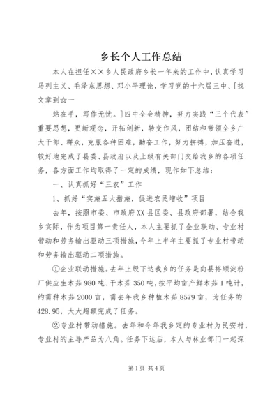 乡长个人工作总结.docx