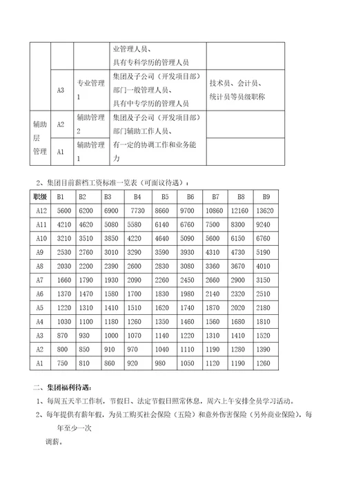 集团中高级管理人员招聘专用手册