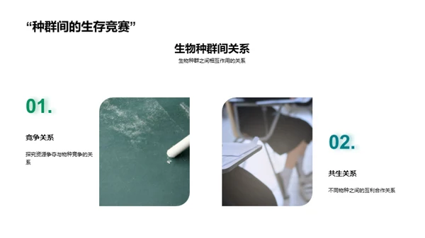 生态环境：平衡与保护