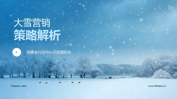 大雪营销策略解析