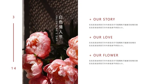 粉色优雅花卉白色情人节PPT模板