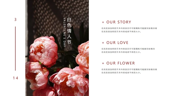 粉色优雅花卉白色情人节PPT模板